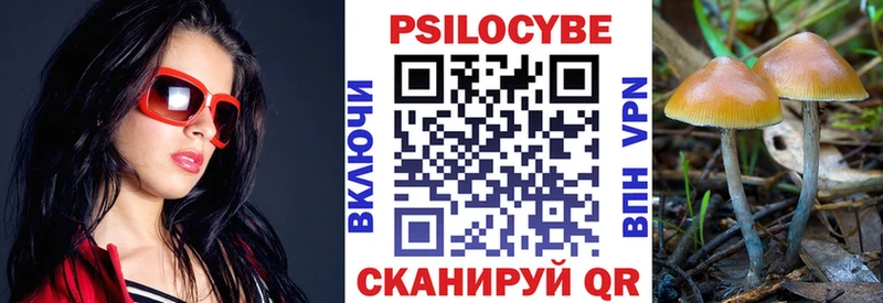 купить   Бабаево  Галлюциногенные грибы прущие грибы 